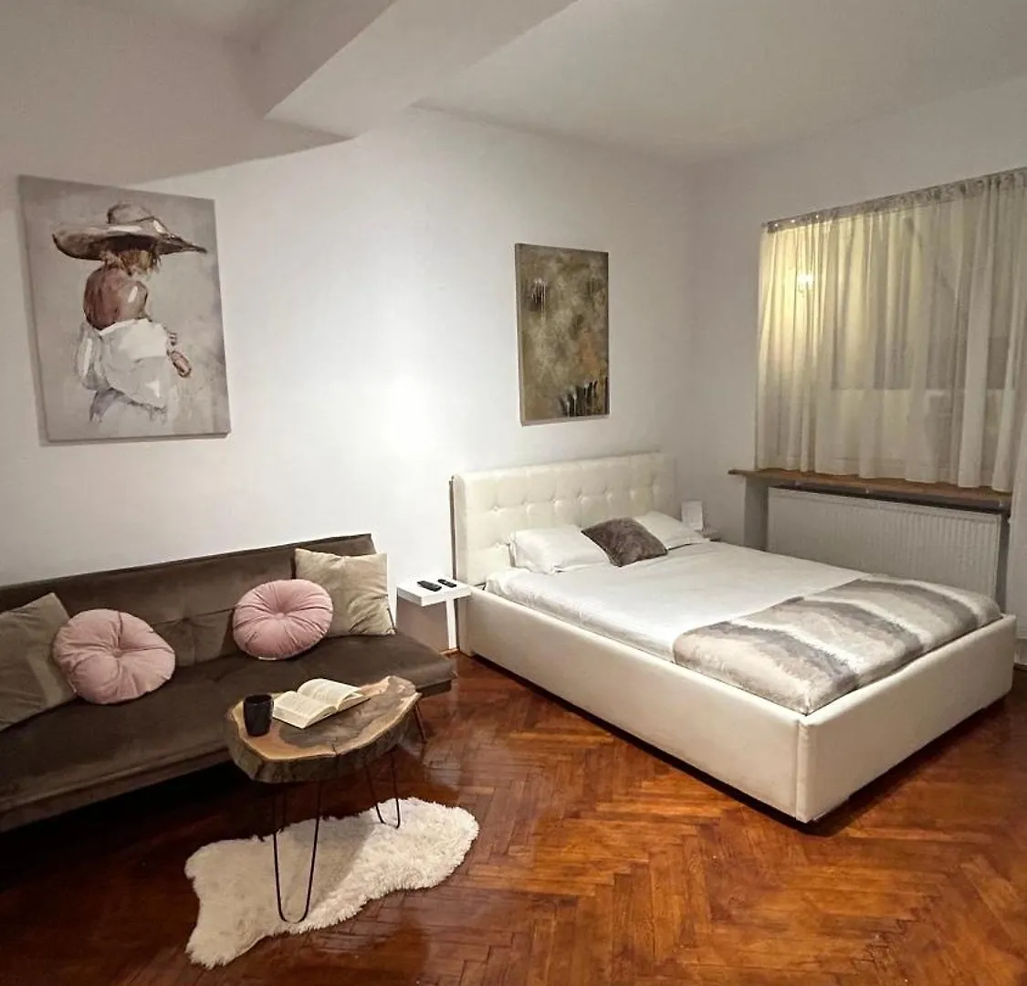Cozy Wood Themed Studio Sky Bar Free Minibar Bucareste